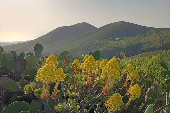  La montaña de Rosiana (1)/TA.
